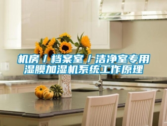 行業(yè)新聞機房／檔案室／潔凈室專用濕膜加濕機系統(tǒng)工作原理