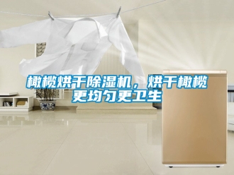 行業(yè)新聞橄欖烘干除濕機(jī)，烘干橄欖更均勻更衛(wèi)生