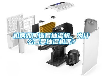 企業(yè)新聞機房如何選著抽濕機，為什么需要抽濕機呢？