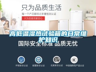 常見問題高低溫濕熱試驗(yàn)箱的日常維護(hù)知識
