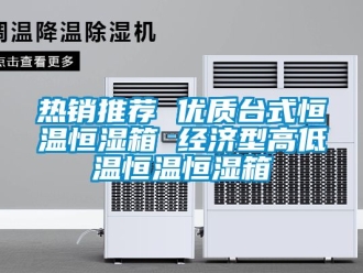 知識(shí)百科熱銷推薦 優(yōu)質(zhì)臺(tái)式恒溫恒濕箱 經(jīng)濟(jì)型高低溫恒溫恒濕箱
