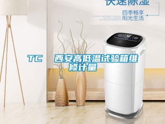 常見問題TC  西安高低溫試驗箱維修計量