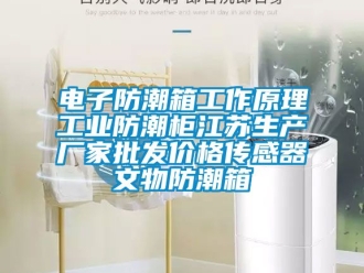 常見問題電子防潮箱工作原理工業(yè)防潮柜江蘇生產(chǎn)廠家批發(fā)價格傳感器文物防潮箱