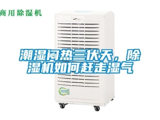 企業(yè)新聞潮濕悶熱三伏天，除濕機(jī)如何趕走濕氣