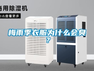 行業(yè)新聞梅雨季衣服為什么會(huì)臭？