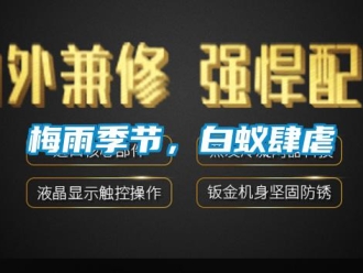 行業(yè)新聞梅雨季節(jié)，白蟻肆虐