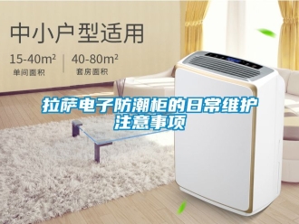 常見(jiàn)問(wèn)題拉薩電子防潮柜的日常維護(hù)注意事項(xiàng)