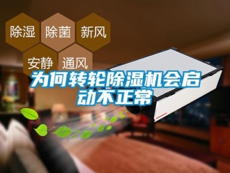 常見問題為何轉(zhuǎn)輪除濕機(jī)會(huì)啟動(dòng)不正常