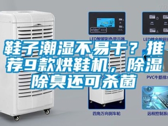 行業(yè)新聞鞋子潮濕不易干？推薦9款烘鞋機(jī)，除濕除臭還可殺菌