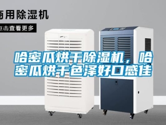 行業(yè)新聞哈密瓜烘干除濕機(jī)，哈密瓜烘干色澤好口感佳