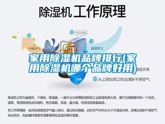 企業(yè)新聞家用除濕機品牌排行(家用除濕機哪個品牌好用)