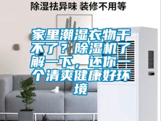 行業(yè)新聞家里潮濕衣物干不了？除濕機了解一下，還你一個清爽健康好環(huán)境