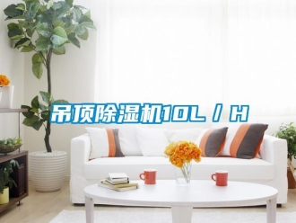 企業(yè)新聞吊頂除濕機(jī)10L／H