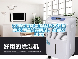 行業(yè)新聞空調(diào)除濕符號(hào)(那些你不知道的空調(diào)遙控器用法，全都在這里)