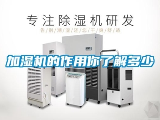 行業(yè)新聞加濕機(jī)的作用你了解多少