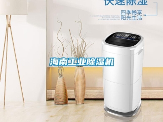 行業(yè)新聞海南工業(yè)除濕機