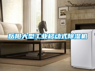 常見(jiàn)問(wèn)題岳陽(yáng)大型工業(yè)移動(dòng)式除濕機(jī)