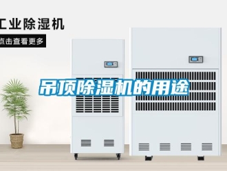 企業(yè)新聞吊頂除濕機的用途