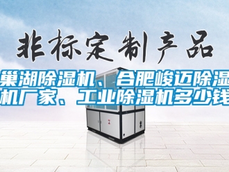 企業(yè)新聞巢湖除濕機(jī)、合肥峻邁除濕機(jī)廠家、工業(yè)除濕機(jī)多少錢