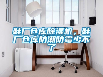 知識(shí)百科鞋廠倉(cāng)庫(kù)除濕機(jī)，鞋廠倉(cāng)庫(kù)防潮防霉少不了