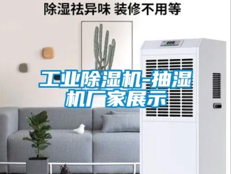 企業(yè)新聞工業(yè)除濕機(jī)-抽濕機(jī)廠家展示