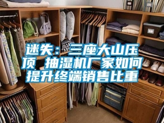 常見問題迷失：三座大山壓頂 抽濕機廠家如何提升終端銷售比重