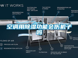 行業(yè)新聞空調(diào)用除濕功能會(huì)傷機(jī)子嗎
