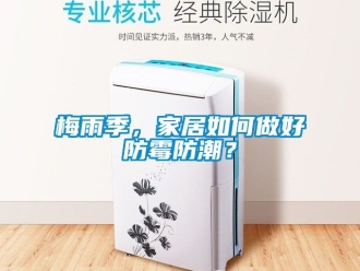 常見問題梅雨季，家居如何做好防霉防潮？