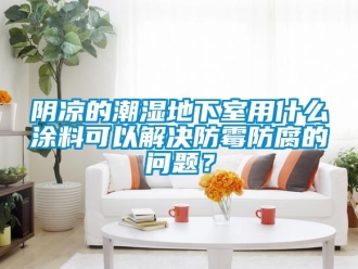 企業(yè)新聞陰涼的潮濕地下室用什么涂料可以解決防霉防腐的問(wèn)題？