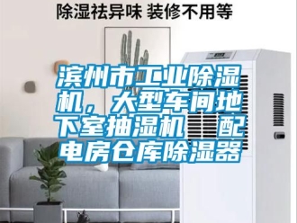 常見問題濱州市工業(yè)除濕機，大型車間地下室抽濕機  配電房倉庫除濕器