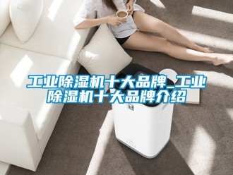 常見問題工業(yè)除濕機(jī)十大品牌_工業(yè)除濕機(jī)十大品牌介紹