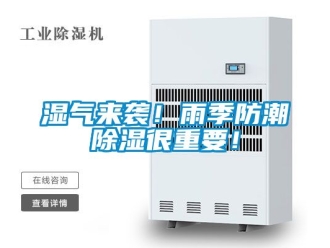 常見問題濕氣來襲！雨季防潮除濕很重要！