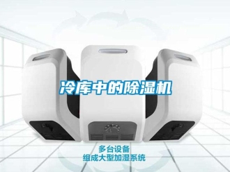行業(yè)新聞冷庫(kù)中的除濕機(jī)