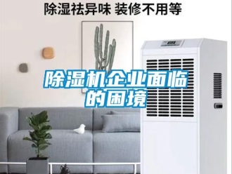 常見(jiàn)問(wèn)題除濕機(jī)企業(yè)面臨的困境