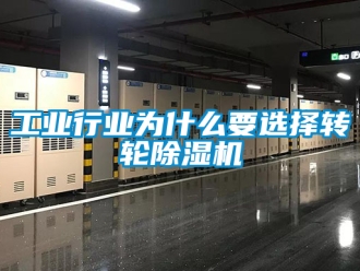 常見問題工業(yè)行業(yè)為什么要選擇轉(zhuǎn)輪除濕機