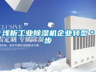常見問題淺析工業(yè)除濕機(jī)企業(yè)轉(zhuǎn)型＊步