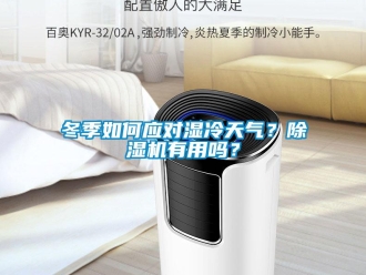 常見(jiàn)問(wèn)題冬季如何應(yīng)對(duì)濕冷天氣？除濕機(jī)有用嗎？
