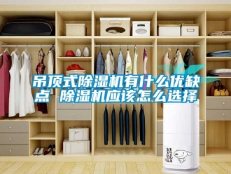 行業(yè)新聞吊頂式除濕機有什么優(yōu)缺點 除濕機應該怎么選擇