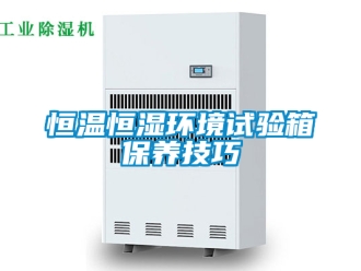 知識百科恒溫恒濕環(huán)境試驗箱保養(yǎng)技巧