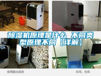 行業(yè)新聞除濕機(jī)原理是什么 不同類型原理不同【詳解】