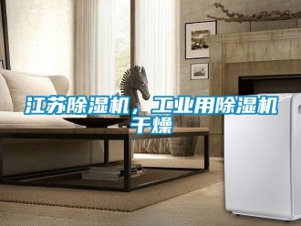 常見問題江蘇除濕機(jī)，工業(yè)用除濕機(jī)干燥