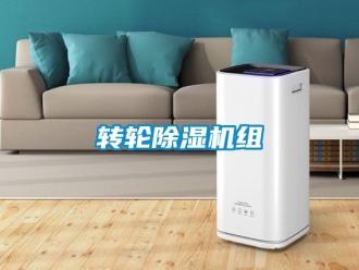 常見(jiàn)問(wèn)題轉(zhuǎn)輪除濕機(jī)組
