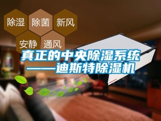行業(yè)新聞真正的中央除濕系統(tǒng)——迪斯特除濕機