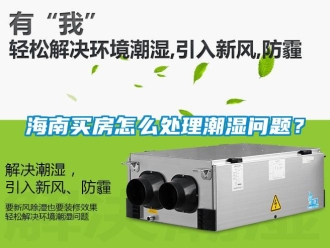 常見問題海南買房怎么處理潮濕問題？