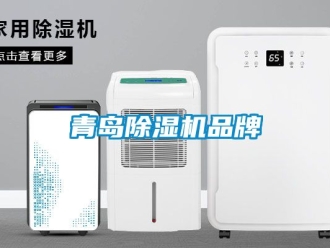 企業(yè)新聞青島除濕機(jī)品牌