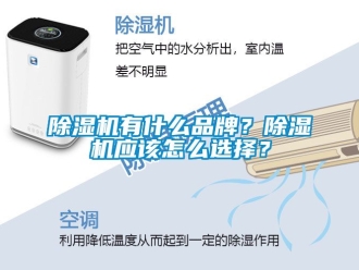 企業(yè)新聞除濕機(jī)有什么品牌？除濕機(jī)應(yīng)該怎么選擇？