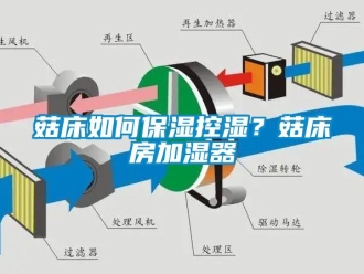 常見問題菇床如何保濕控濕？菇床房加濕器