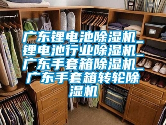 常見(jiàn)問(wèn)題廣東鋰電池除濕機(jī)_鋰電池行業(yè)除濕機(jī)_廣東手套箱除濕機(jī)_廣東手套箱轉(zhuǎn)輪除濕機(jī)