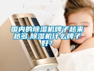 行業(yè)新聞國內(nèi)的除濕機牌子越來越多,除濕機什么牌子好？