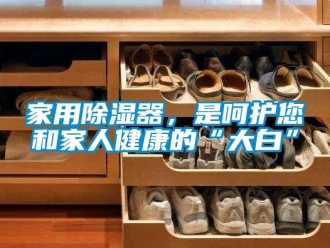 行業(yè)新聞家用除濕器，是呵護(hù)您和家人健康的“大白”